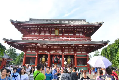 DSC_3465 (Large).JPG